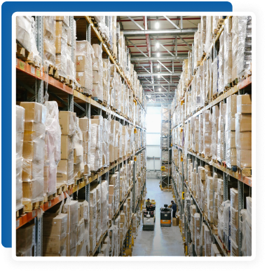 e-commerce business 